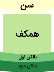 کمدی بازار (ارومیه)